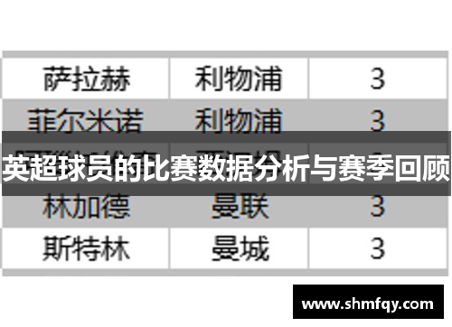 英超球员的比赛数据分析与赛季回顾